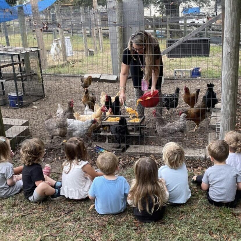 A group of children sitting around with chickens.