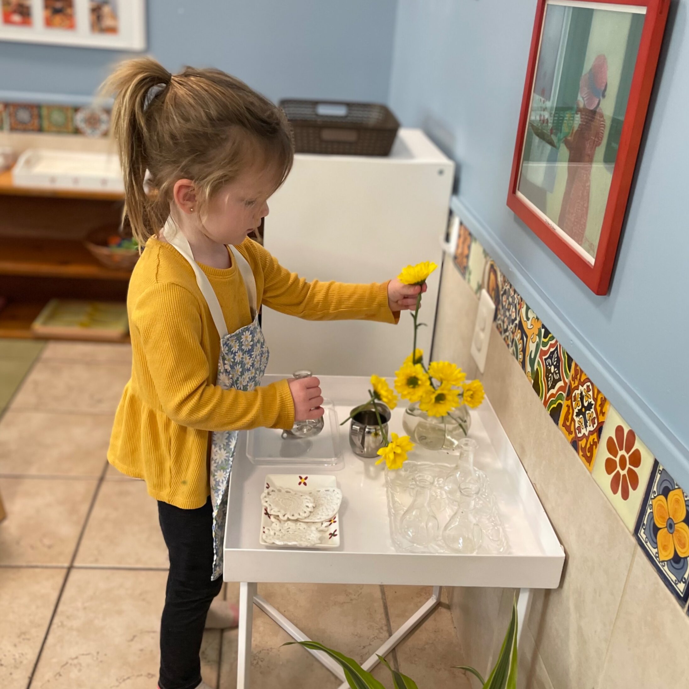 A little girl in an apron is washing sunflowers.